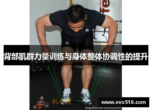 背部肌群力量训练与身体整体协调性的提升